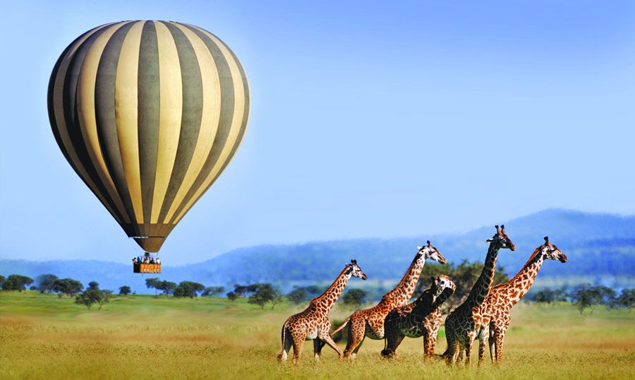 14 days Tanzania Safari