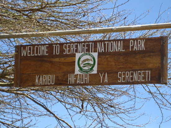 Safari in Serengeti National Park