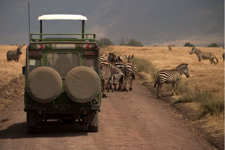 Game drives in Serengeti National Park