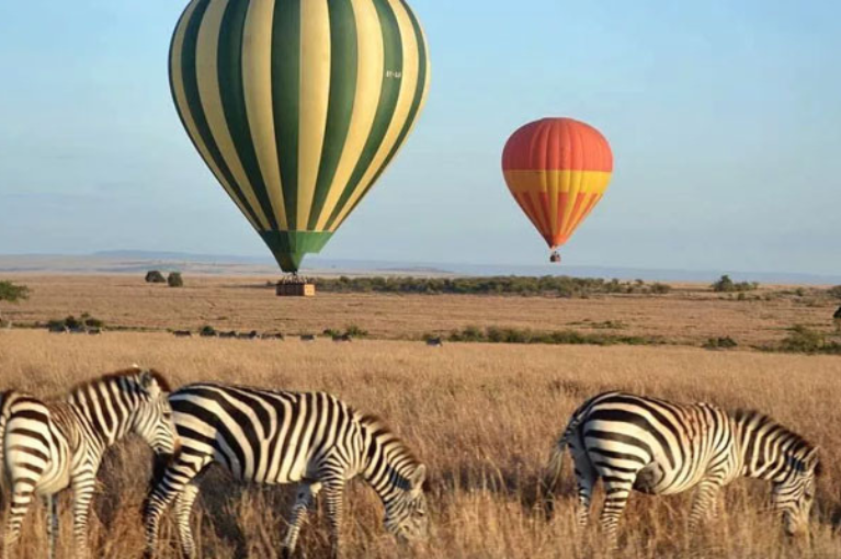 12 days Tanzania Safari