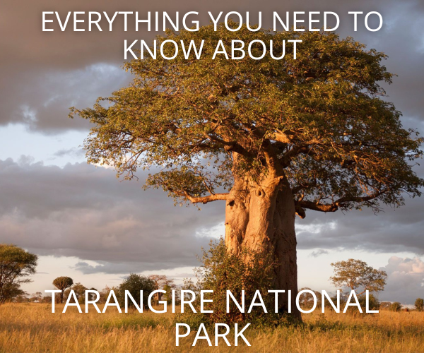 Tarangire National Park