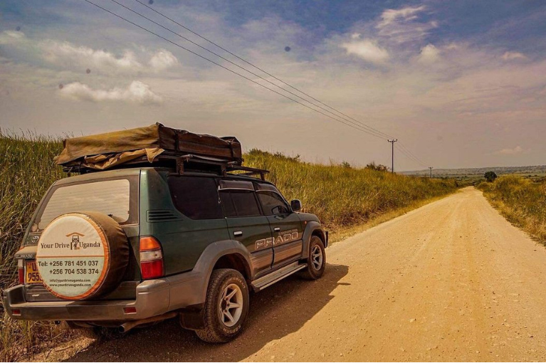 car rental Tanzania for wildlife Safari