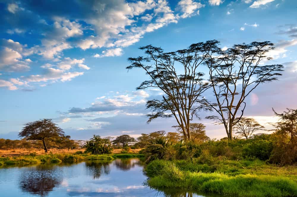 Serengeti National Park