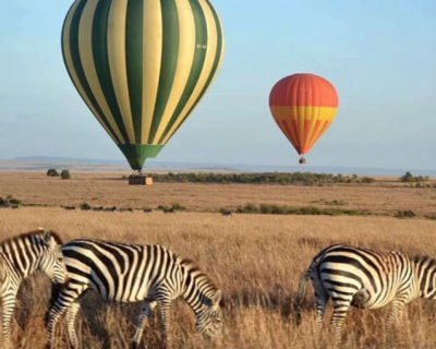 12 days Tanzania Safari