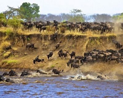 self drive Serengeti